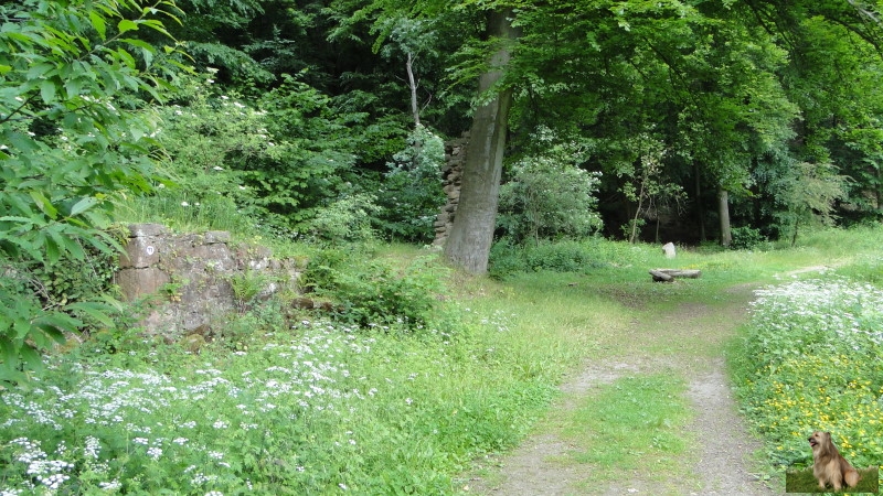 Ritterstein Nr. 281-9b Leiningische Hofruine Weilach.JPG - Ritterstein Nr.281 Leiningische Hofruine Weilach